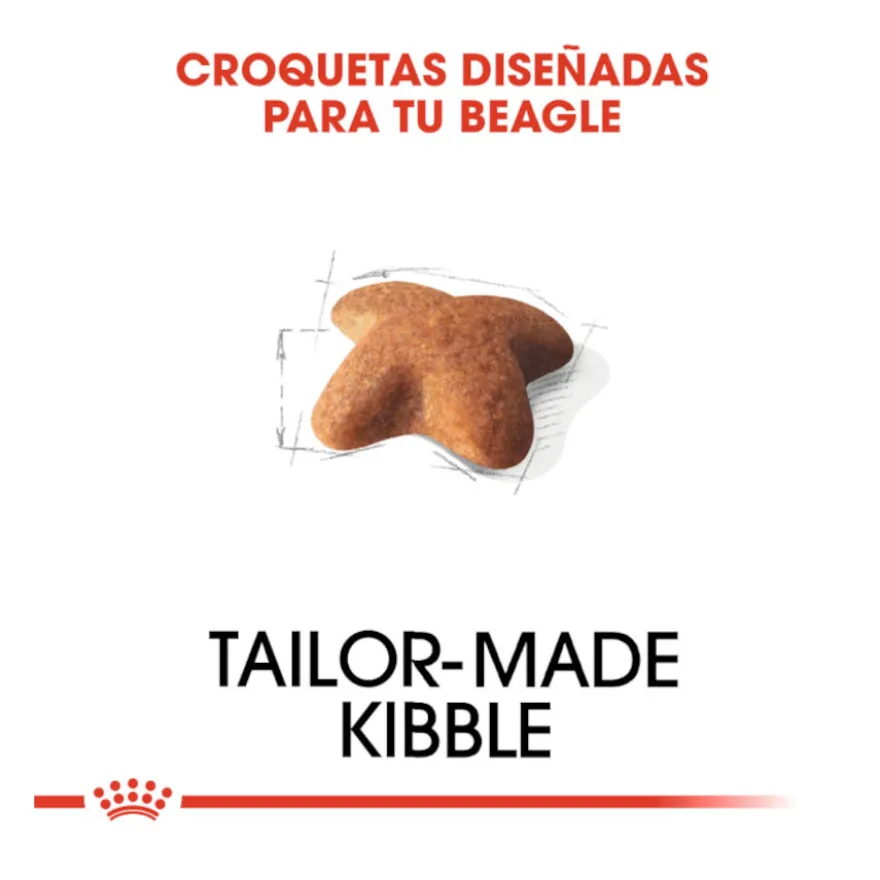 Royal Canin Adult Beagle pienso para perros