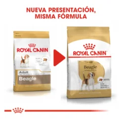 Royal Canin Adult Beagle pienso para perros