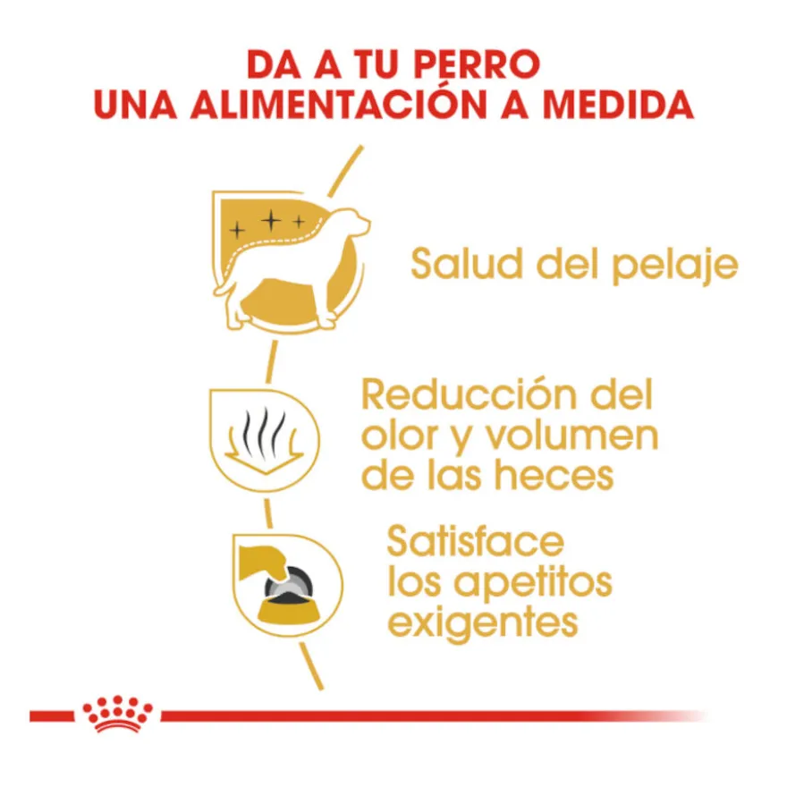 Royal Canin Adult Bichón Maltés pienso para perros