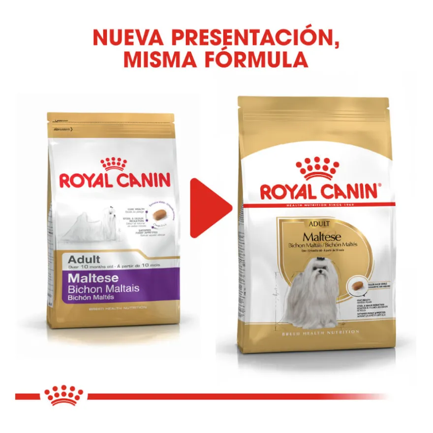 Royal Canin Adult Bichón Maltés pienso para perros