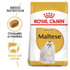 Royal Canin Adult Bichón Maltés pienso para perros
