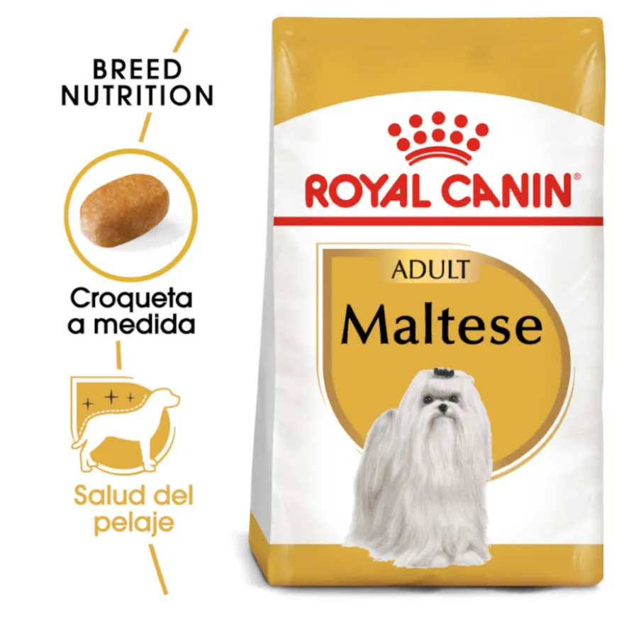 Royal Canin Adult Bichón Maltés pienso para perros