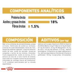 Royal Canin Adult Bichón Maltés pienso para perros