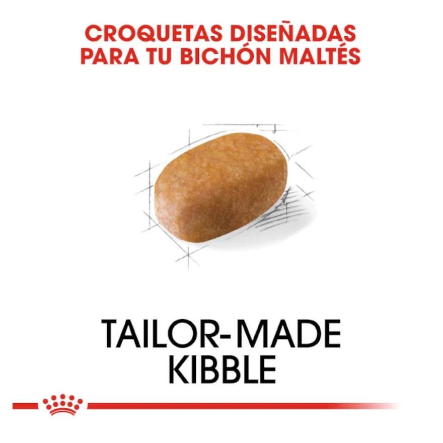 Royal Canin Adult Bichón Maltés pienso para perros