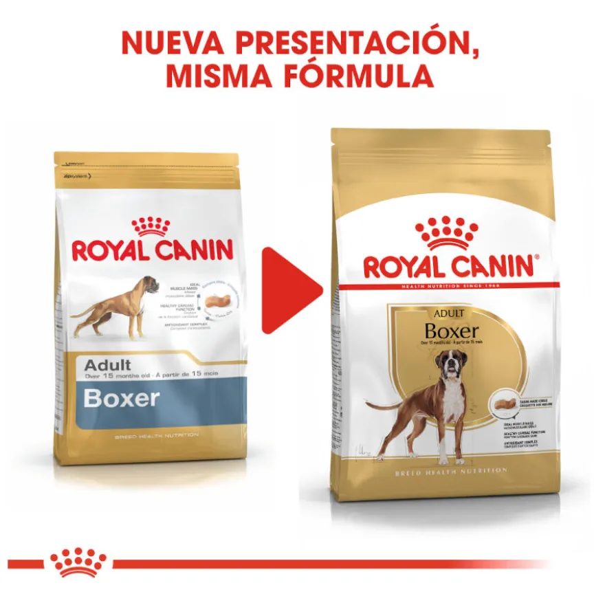 Royal Canin Adult Boxer pienso para perros