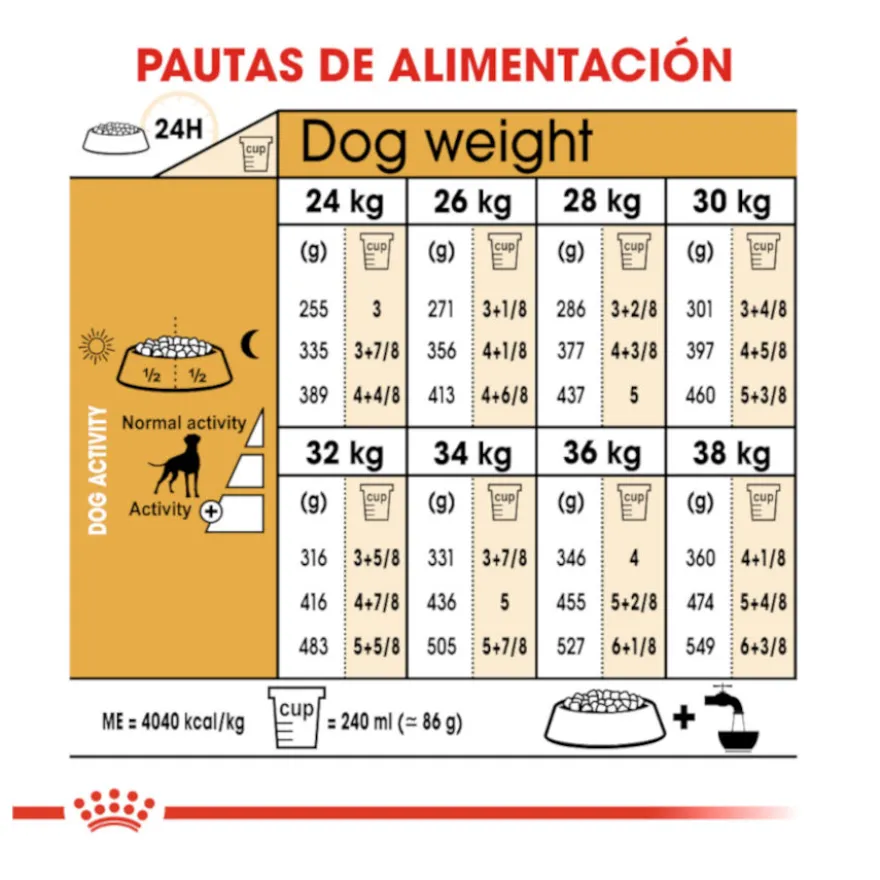 Royal Canin Adult Boxer pienso para perros