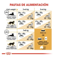 Royal Canin Adult British Shorthair pienso para gatos