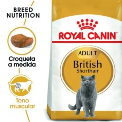 Royal Canin Adult British Shorthair pienso para gatos