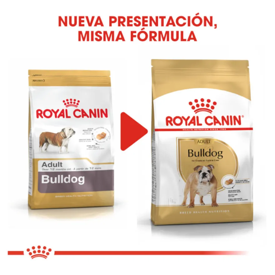 Royal Canin Adult Bulldog pienso para perros