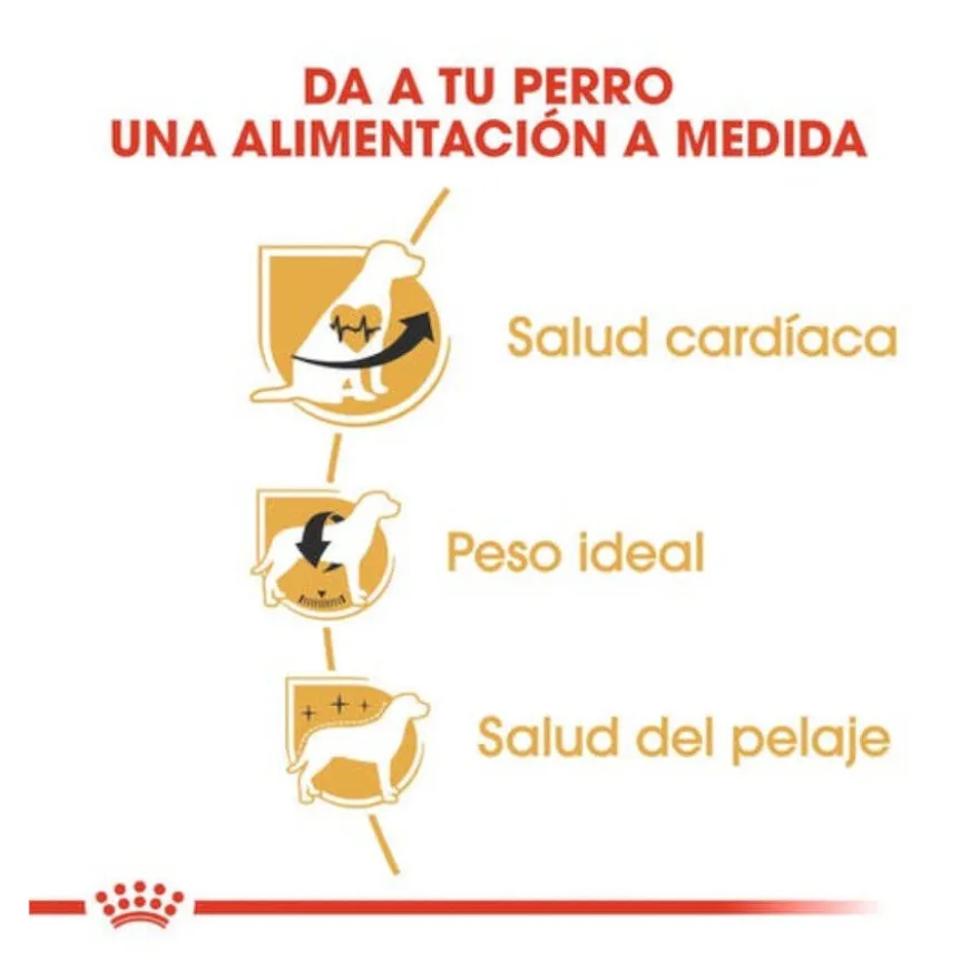 Royal Canin Adult Cavalier King Charles pienso para perros