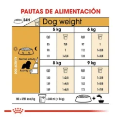 Royal Canin Adult Cavalier King Charles pienso para perros