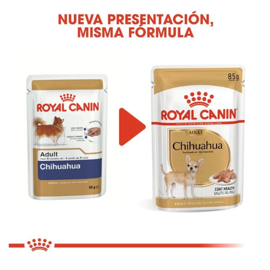 Royal Canin Adult Chihuahua paté en sobre para perros