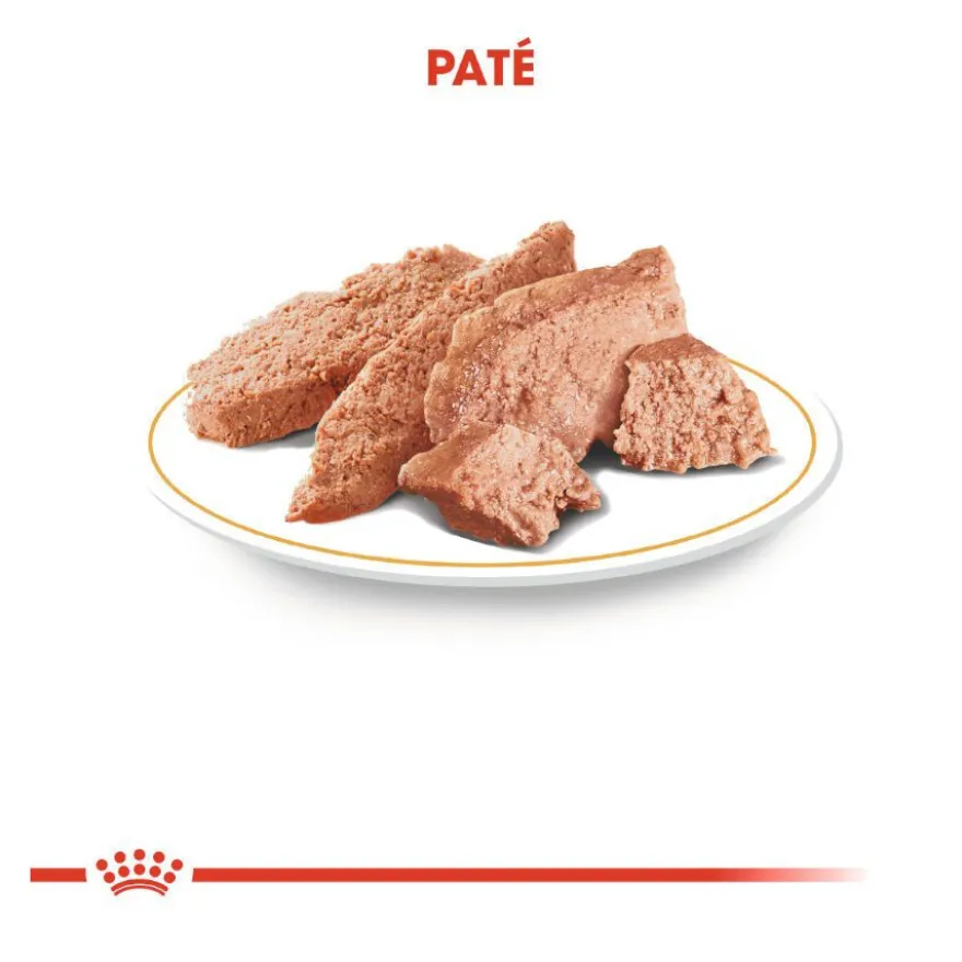 Royal Canin Adult Chihuahua paté en sobre para perros