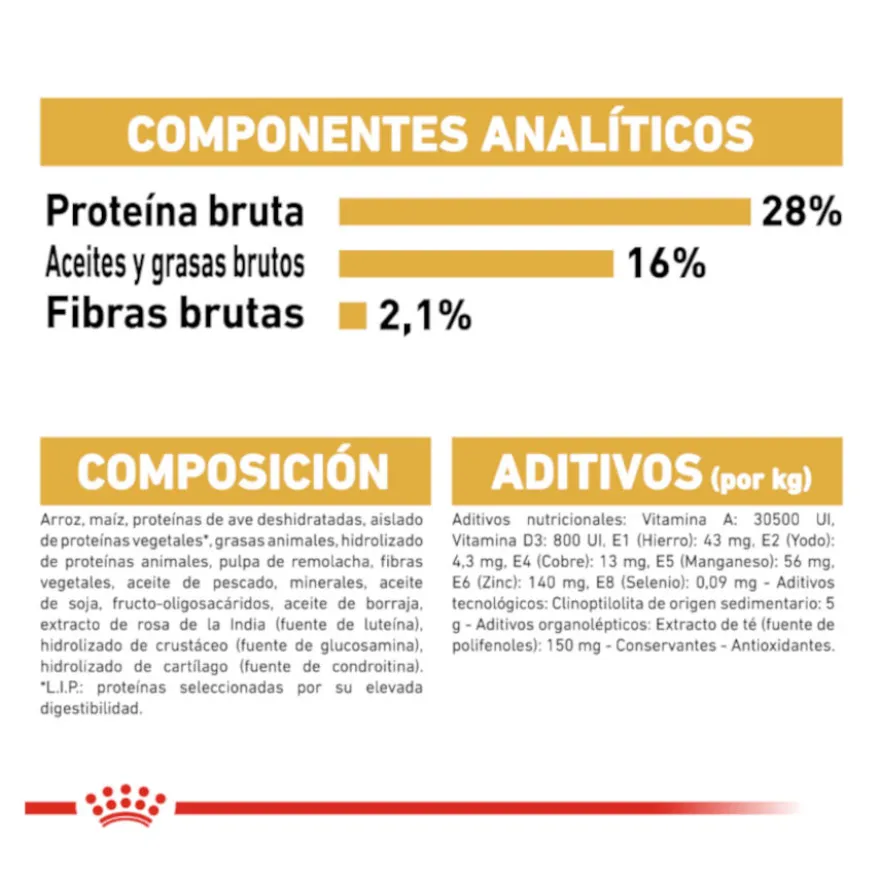 Royal Canin Adult Chihuahua pienso para perros