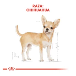 Royal Canin Adult Chihuahua pienso para perros