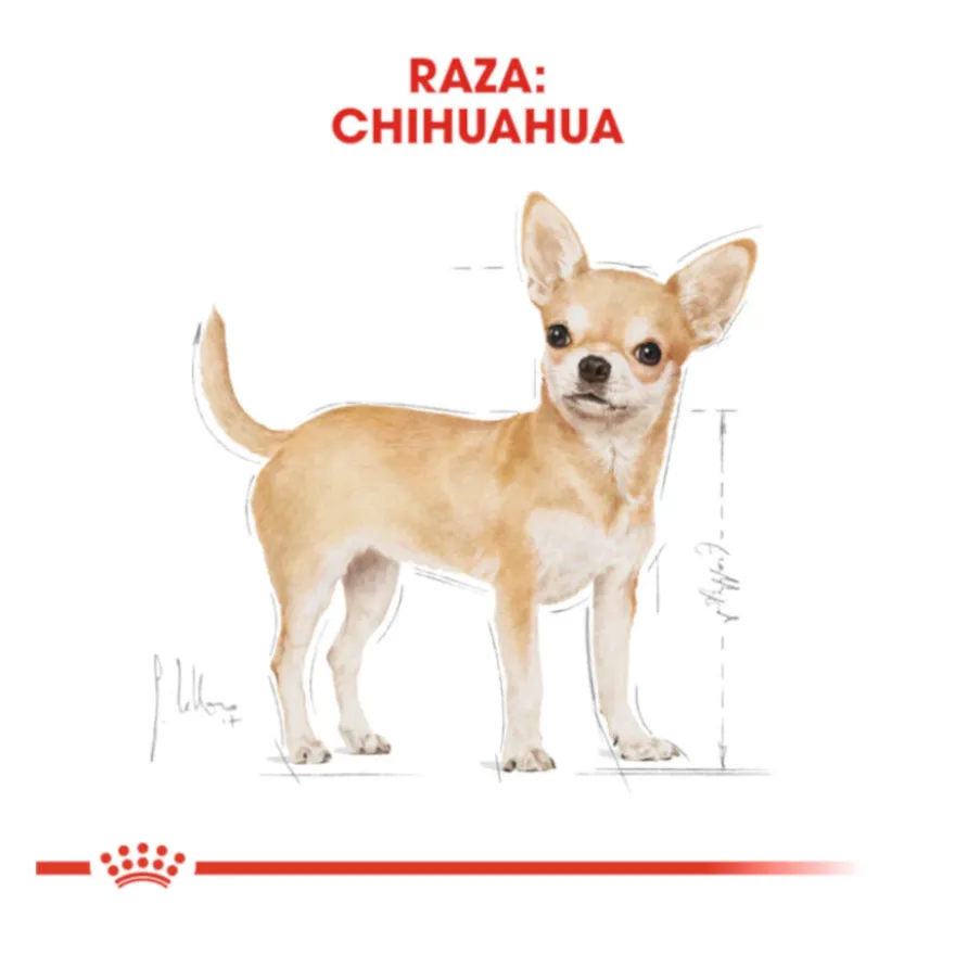 Royal Canin Adult Chihuahua pienso para perros