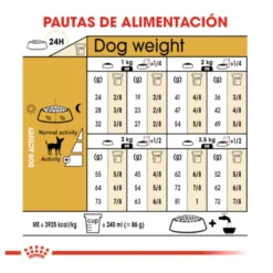 Royal Canin Adult Chihuahua pienso para perros