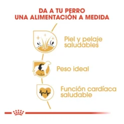 Royal Canin Adult Cocker pienso para perros