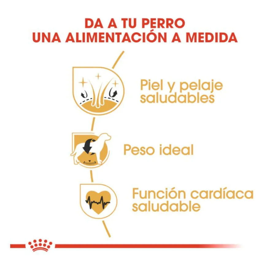 Royal Canin Adult Cocker pienso para perros