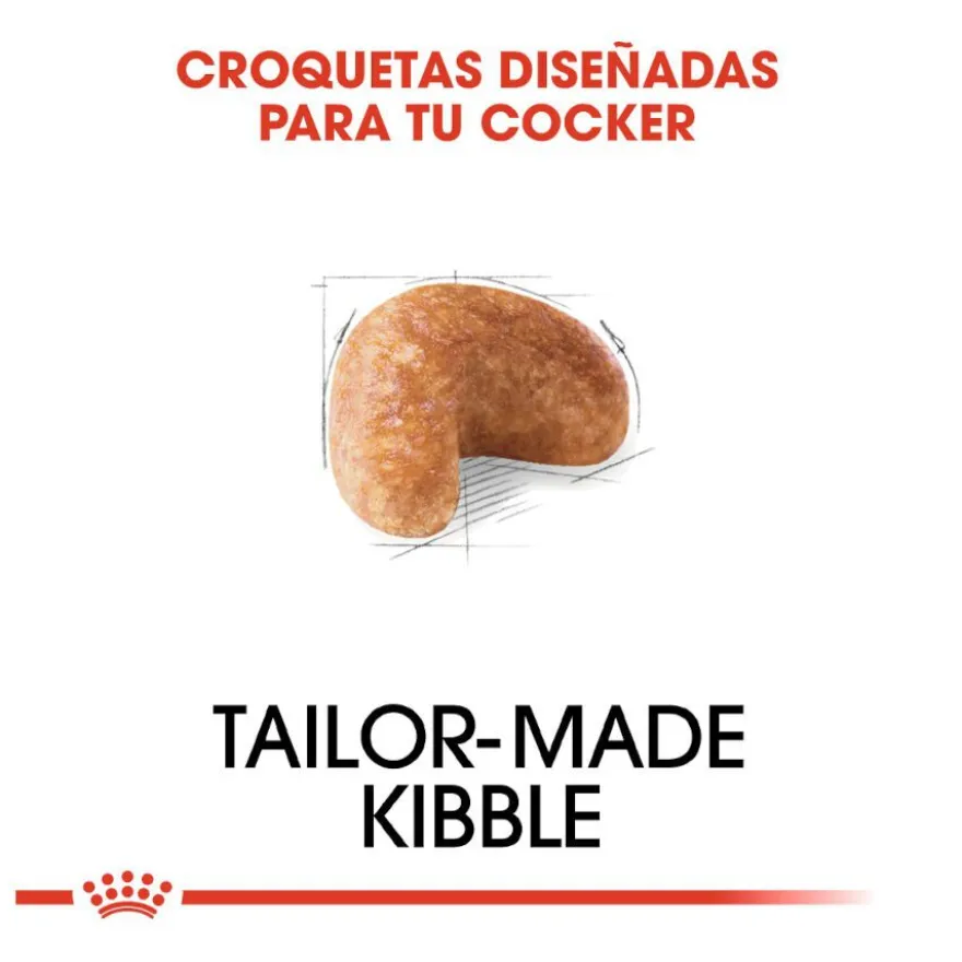Royal Canin Adult Cocker pienso para perros
