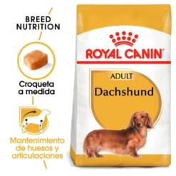 Royal Canin Adult Dachshund pienso para perros