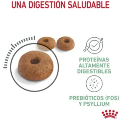 Royal Canin Adult Digestive pienso para gatos