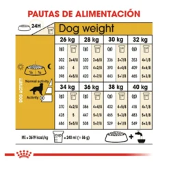 Royal Canin Adult Golden Retriever pienso para perros