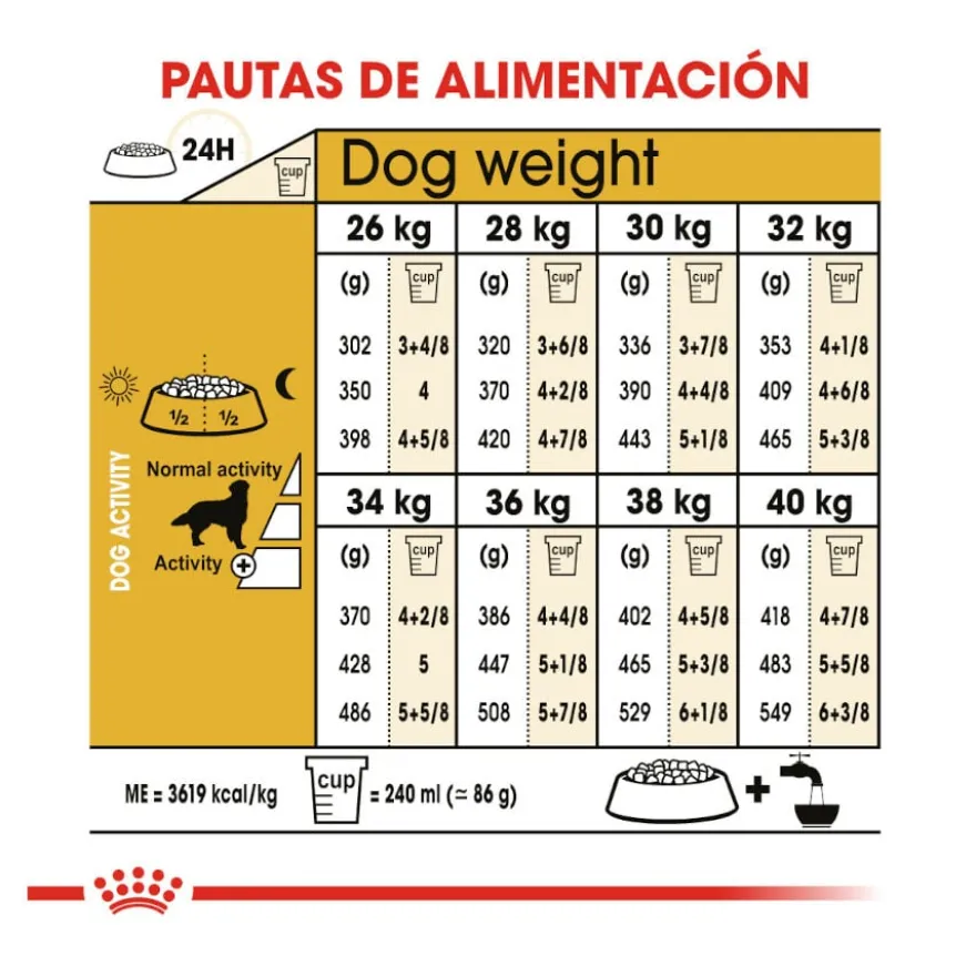 Royal Canin Adult Golden Retriever pienso para perros