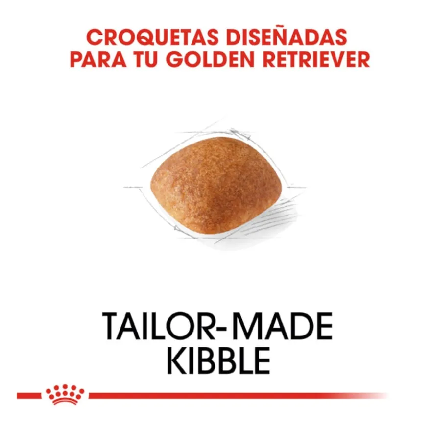 Royal Canin Adult Golden Retriever pienso para perros