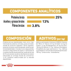 Royal Canin Adult Golden Retriever pienso para perros
