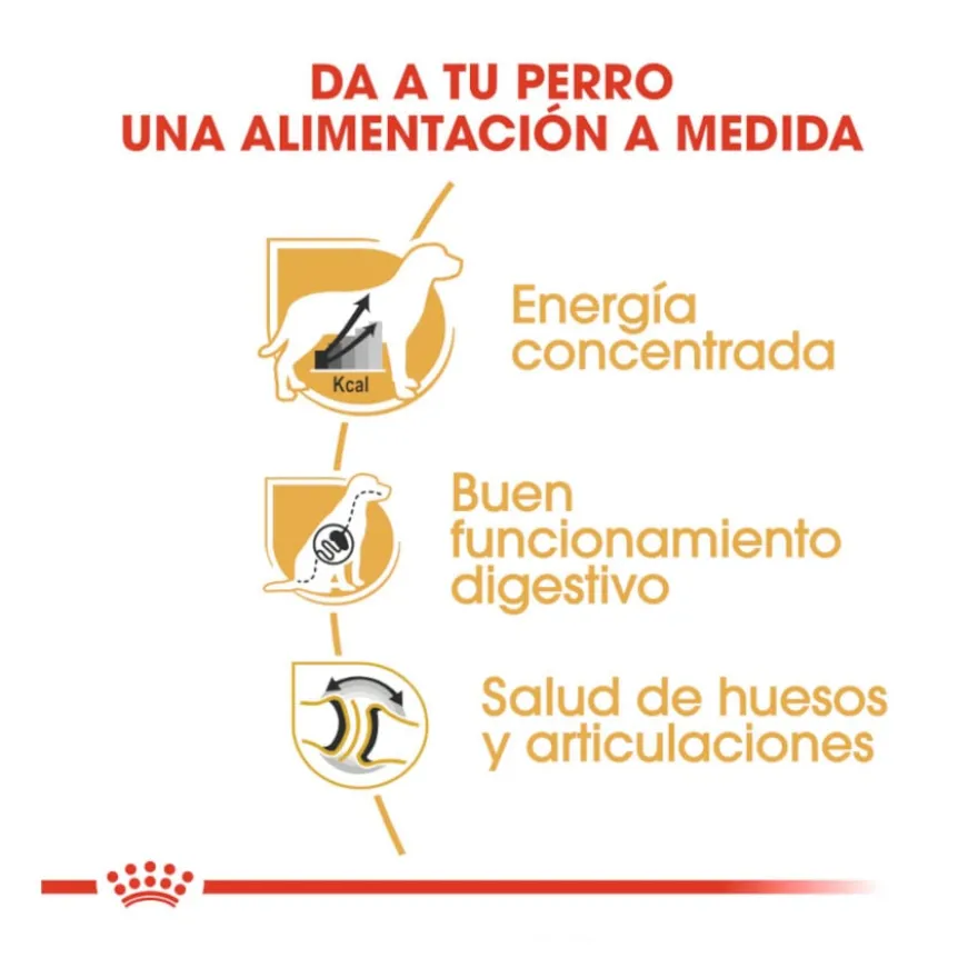 Royal Canin Adult Great Dane pienso para perros