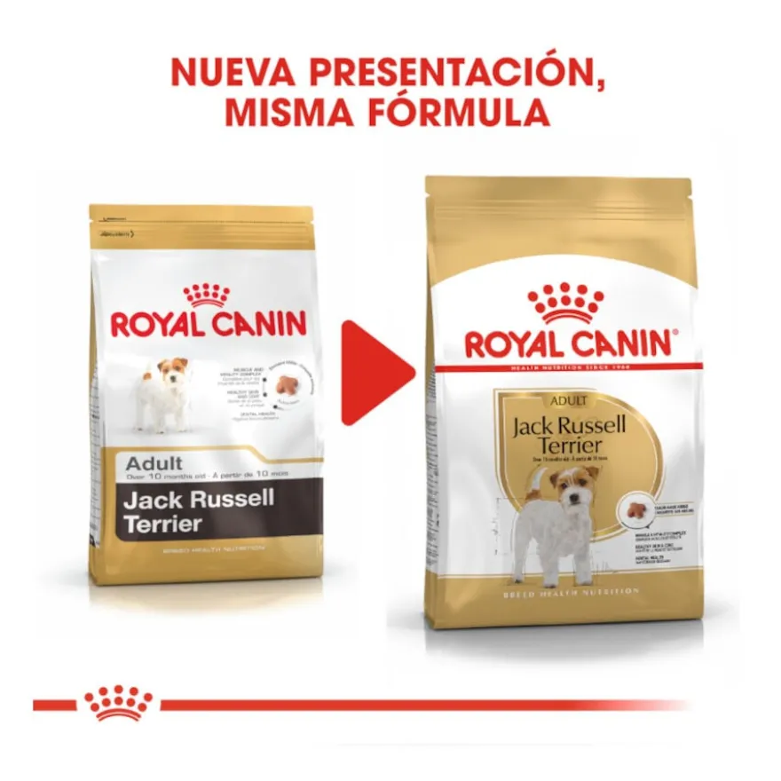 Royal Canin Adult Jack Russell Terrier pienso para perros