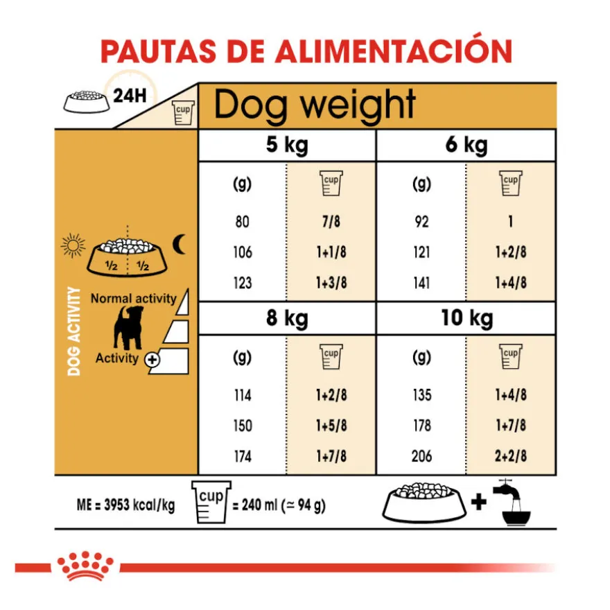 Royal Canin Adult Jack Russell Terrier pienso para perros