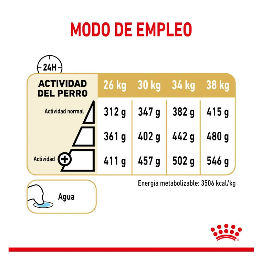 Royal Canin Adult 5+ Labrador pienso para perros