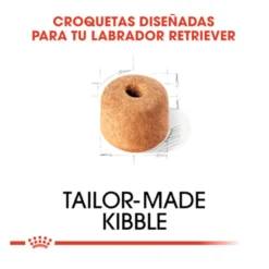 Royal Canin Adult Labrador Retriever pienso para perros