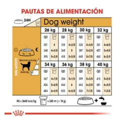 Royal Canin Adult Labrador Retriever pienso para perros