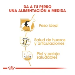 Royal Canin Adult Labrador Retriever pienso para perros