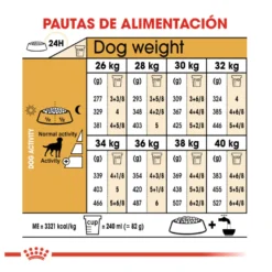 Royal Canin Adult Labrador Sterilised pienso para perros
