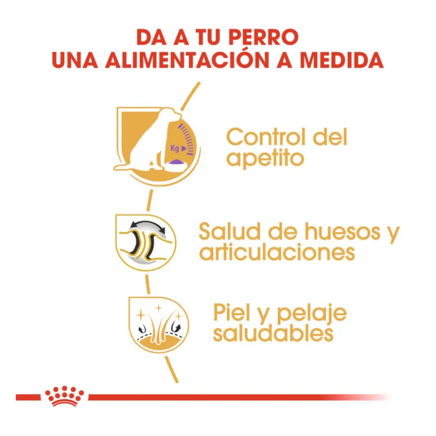 Royal Canin Adult Labrador Sterilised pienso para perros