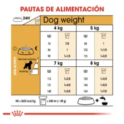 Royal Canin Adult Miniature Schnauzer pienso para perros