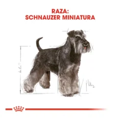 Royal Canin Adult Miniature Schnauzer pienso para perros