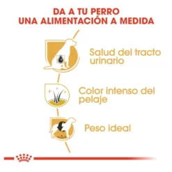 Royal Canin Adult Miniature Schnauzer pienso para perros
