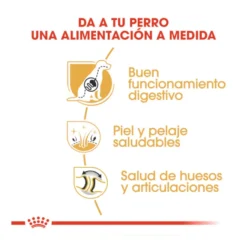 Royal Canin Adult Pastor Alemán pienso para perros