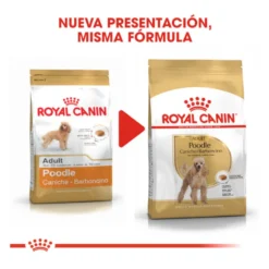 Royal Canin Adult Poodle pienso para perros