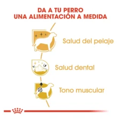 Royal Canin Adult Poodle pienso para perros