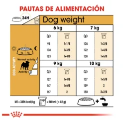 Royal Canin Adult Pug pienso para perros