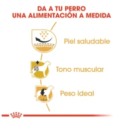 Royal Canin Adult Pug pienso para perros