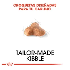 Royal Canin Adult Pug pienso para perros