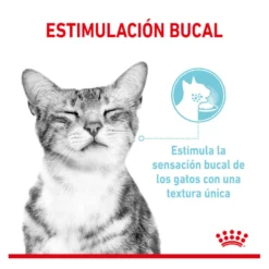 Royal Canin Adult Sensory Feel salsa sobre para gatos