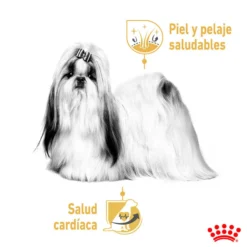 Royal Canin Adult Shih Tzu Paté sobre para perros